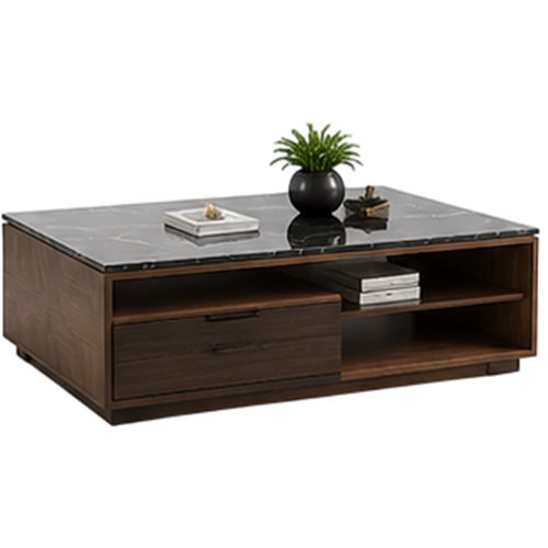 Walnut coffee table with storage, style reference